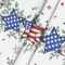 70×70 Inch Round 4th of July Tablecloth – Patriotic Eucalyptus Star Design for Independence Day, Memorial Day, Party, Picnic, and Dinner Decor